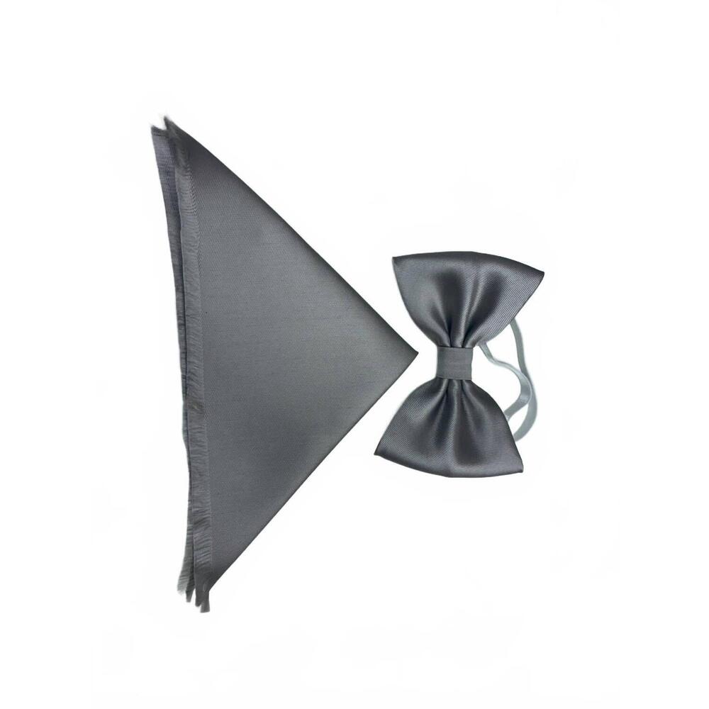NEW QUIET LUXURY men's bow tie and pocket piece in platinum